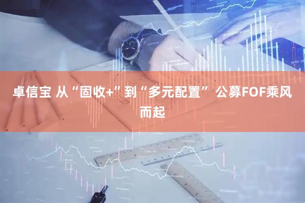 卓信宝 从“固收+”到“多元配置” 公募FOF乘风而起