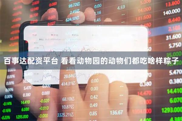 百事达配资平台 看看动物园的动物们都吃啥样粽子