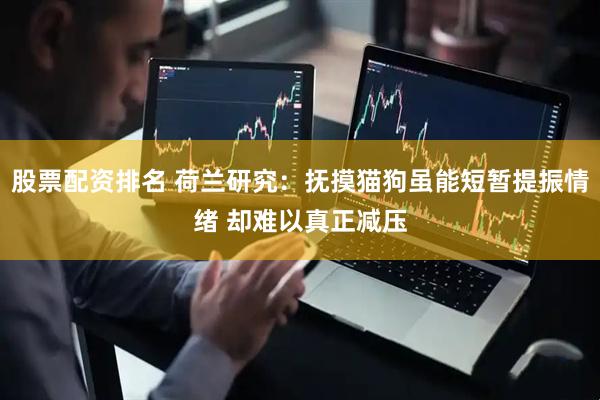 股票配资排名 荷兰研究：抚摸猫狗虽能短暂提振情绪 却难以真正减压